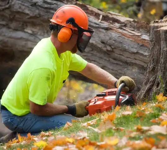 tree services Beckett Ridge